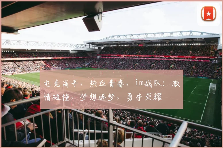 电竞高手，热血青春，im战队：激情碰撞，梦想逐梦，勇夺荣耀
