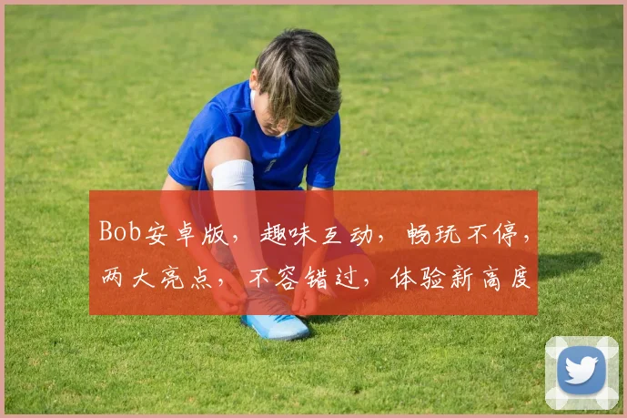 Bob安卓版，趣味互动，畅玩不停，两大亮点，不容错过，体验新高度