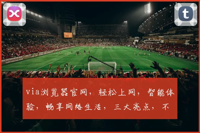 via浏览器官网，轻松上网，智能体验，畅享网络生活，三大亮点，不容错过