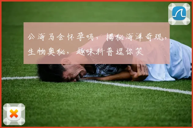公海马会怀孕吗，揭秘海洋奇观，生物奥秘，趣味科普逗你笑